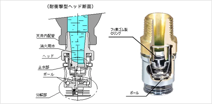 耐衝撃型ヘッド断面